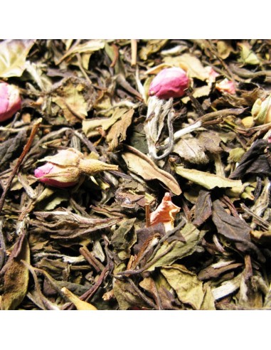 Té Blanco Cereza