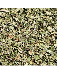 Menta