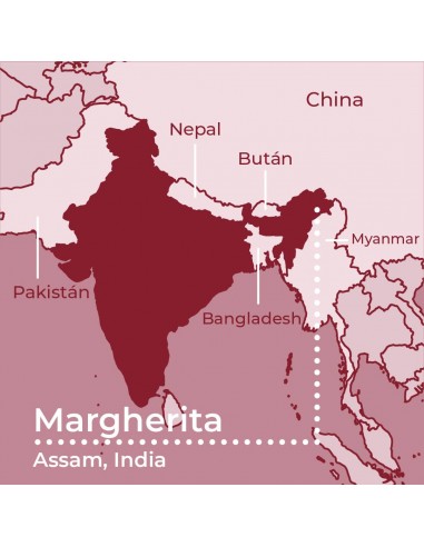 Assam GFBOP Margherita