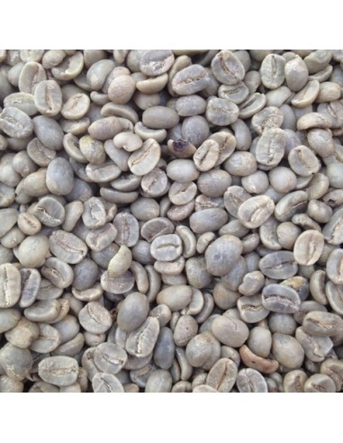 Café Verde Jamaica Blue Mountain