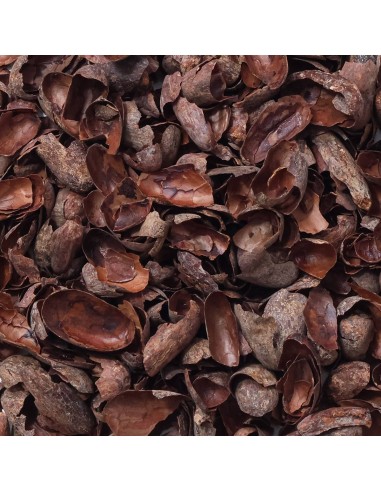 Infusión Cáscara de Cacao