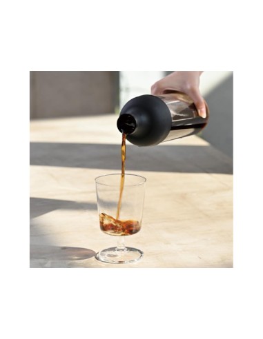 Botella Cold Brew Hario Black