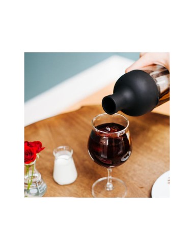 Botella Cold Brew Hario Black