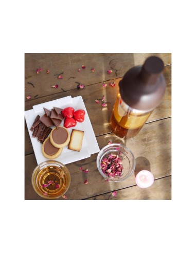 Botella Cold Brew Hario Brown