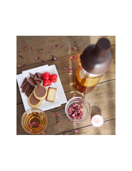 Botella Cold Brew Hario Brown