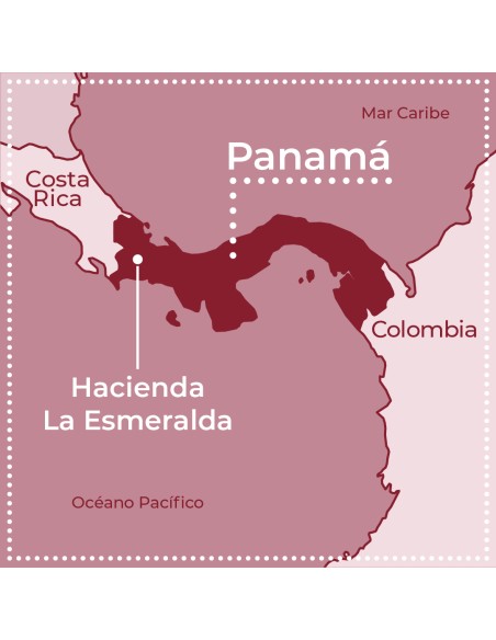 Geisha Finca Esmeralda