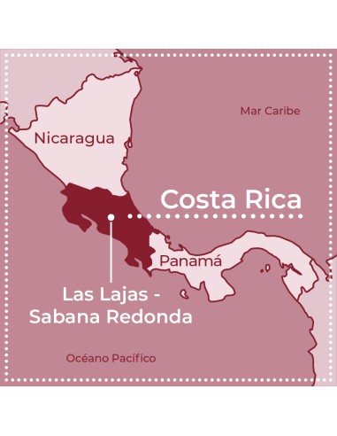 Pacamara Double Diamond