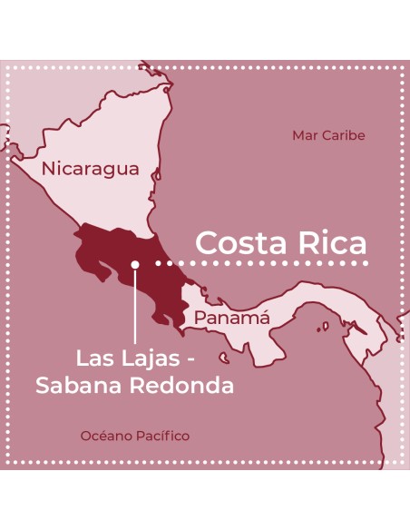 Pacamara Double Diamond