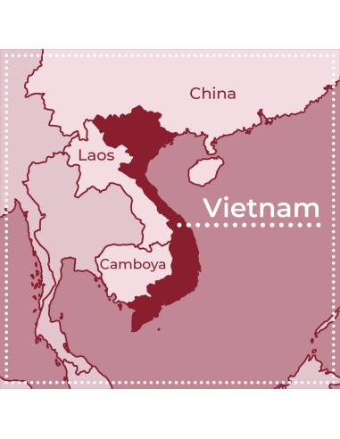 Café Verde Robusta Vietnam