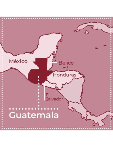 Guatemala Oro Plus