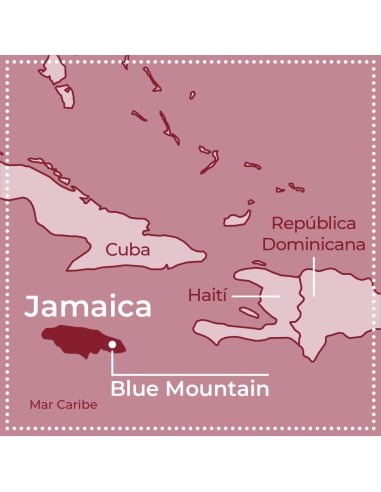 Café Verde Jamaica Blue Mountain