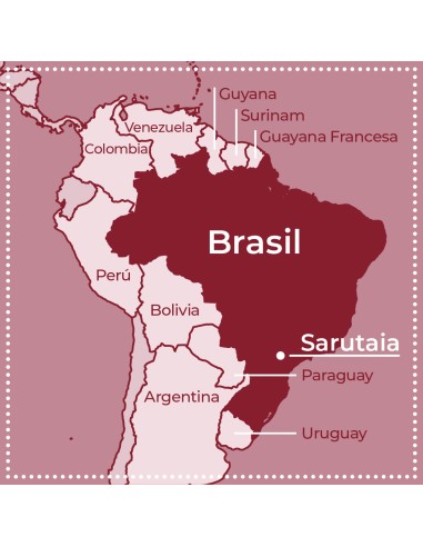Brasil Sarutaia