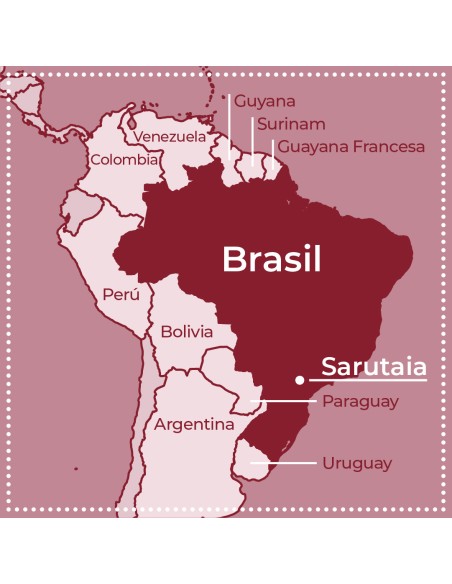 Brasil Sarutaia