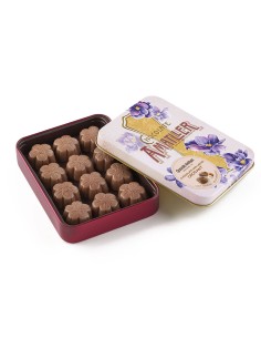 Bombones Amatller Chocolate Crocant