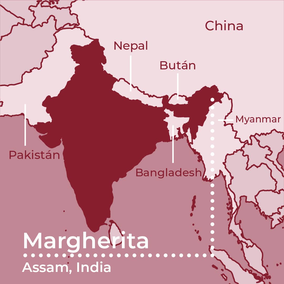 Mapa de Assam, la India. Señalando la zona de Margherita