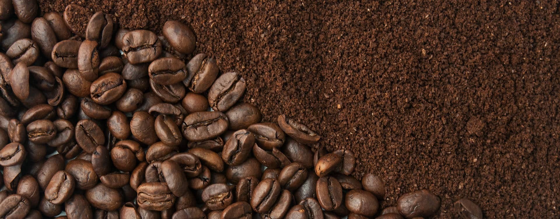 Cafeteras con molinillo: la combinación perfecta para disfrutar de un café  recién molido 