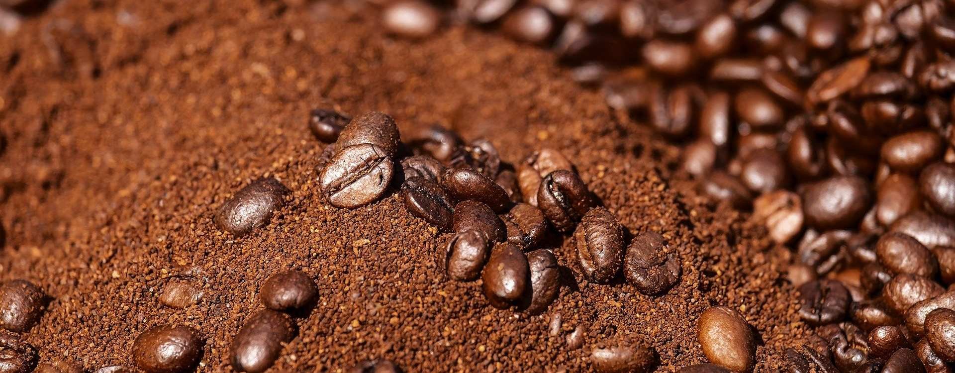 Se pueden reutilizar las bolsas de infusiones otra vez? - CaféTéArte