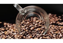 Comparador de cafetera automática vs cafetera de cápsulas - CaféTéArte