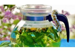 Infusión y té, diferencias y semejanzas